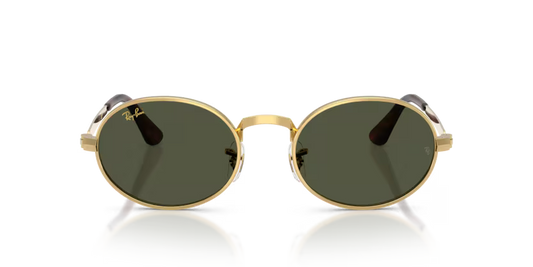 Gafas Ray-Ban RB3931-001/31 Originales
