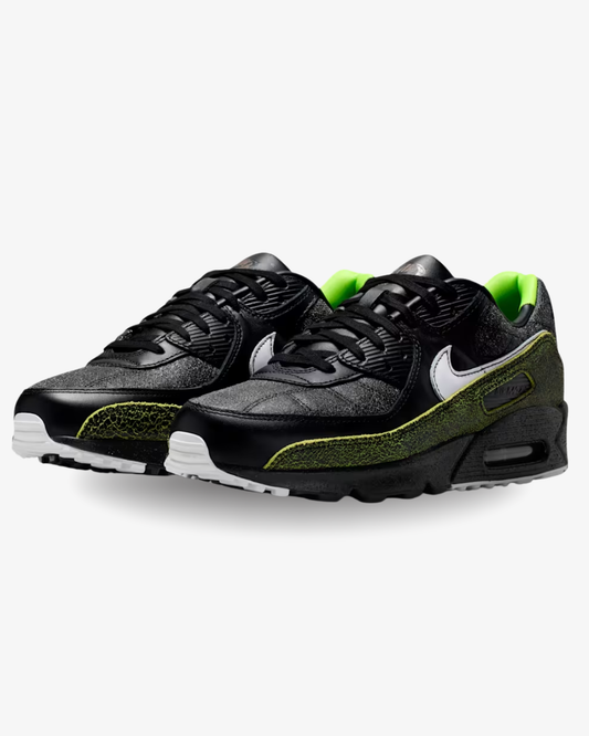 Nike Air Max 90 Tiempo 2005