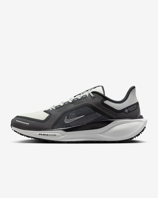 Tenis Nike Pegasus 41 GORE-TEX