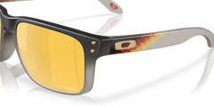 Gafas Oakley Holbrook Edicion Troy Lee OO9102-AH55 Originales