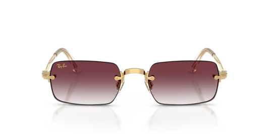 Gafas Ray-Ban RB3928-01/8H Originales