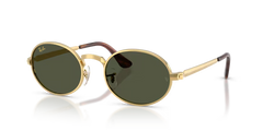 Gafas Ray-Ban RB3931-001/31 Originales