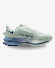 Nike  Pegasus Premium