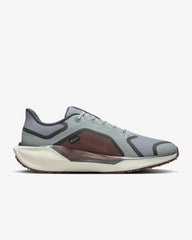 Tenis Nike Pegasus 41 GORE-TEX