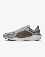 Tenis Nike Pegasus 41 GORE-TEX