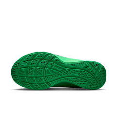 Nike LeBron TR 1