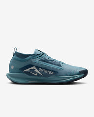 Tenis Nike Pegasus Trail 5 GORE-TEX