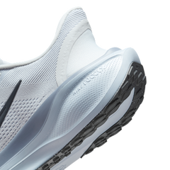 Nike Pegasus EasyOn