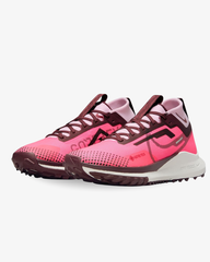 Nike Pegasus Trail 4 Gore-TEX