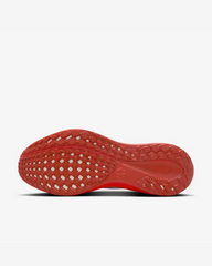 Tenis Nike Air Zoom Pegasus 41