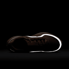 Nike Pegasus Premium